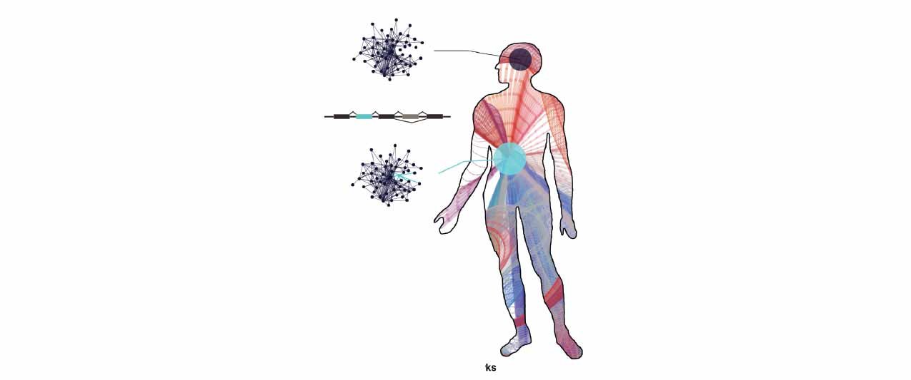 Illustration of tissue-specific protein interaction networks produced by alternative isoforms